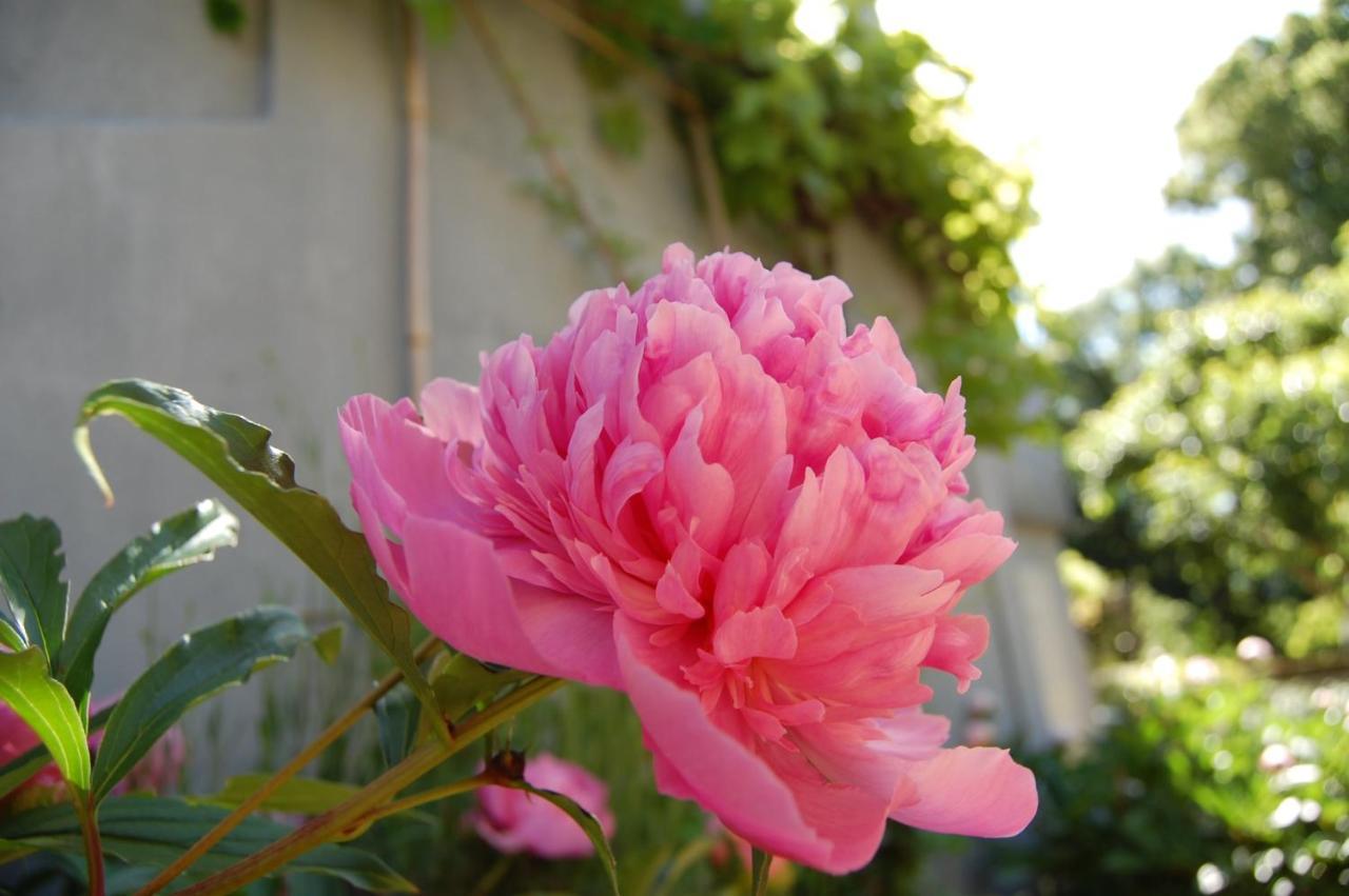 贝桑松A L'Oree Du Parc住宿加早餐旅馆 外观 照片